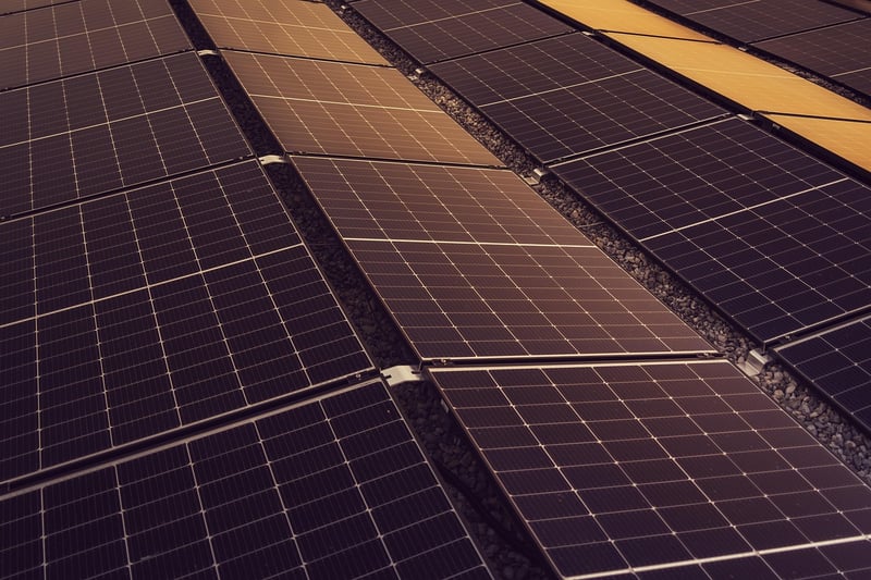 Sustainability Innovator